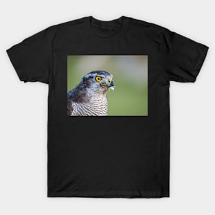 Close up view of a falcon T-Shirt